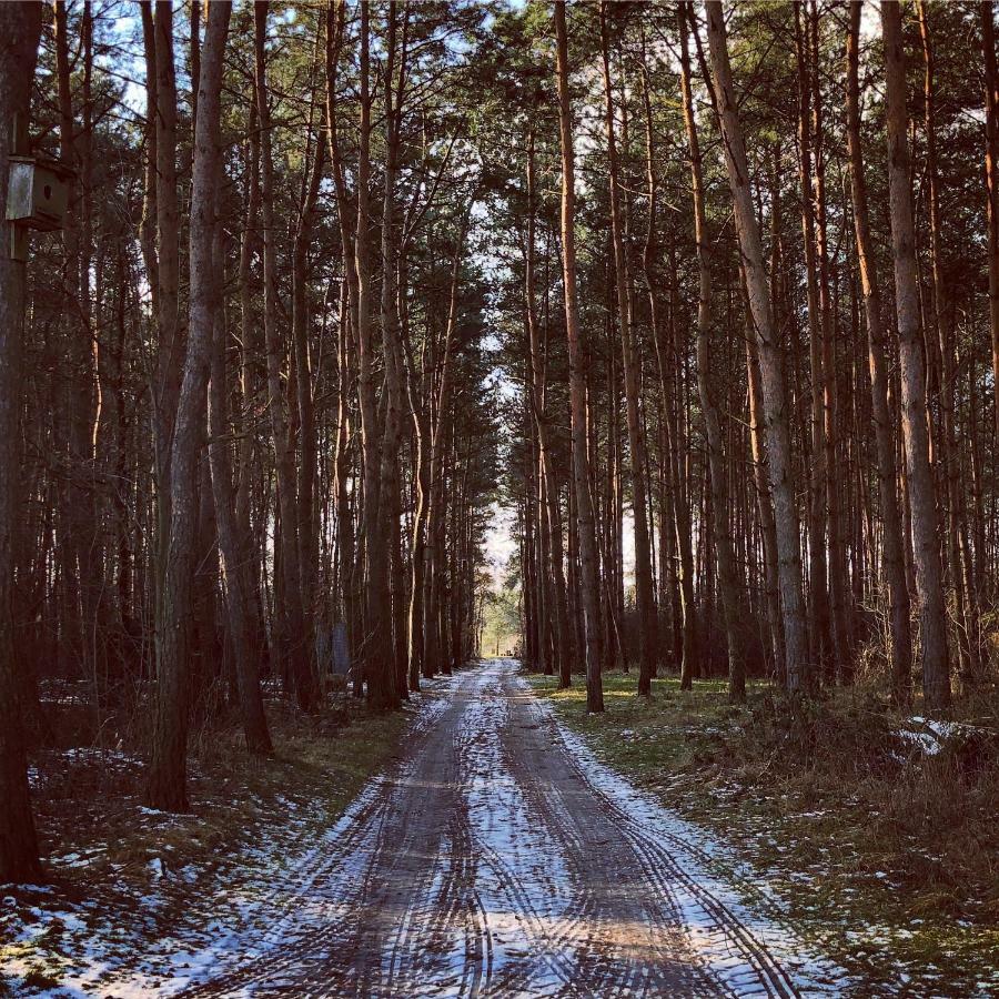 Dworek Pod Wiecha Kaweczyn  Esterno foto